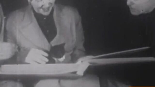 Classic Stags 263 30’s to 60’s – Scene 9