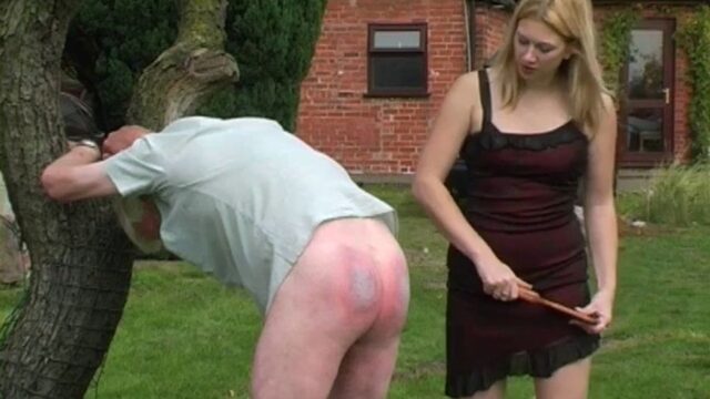 Miss Zara’s Gardener